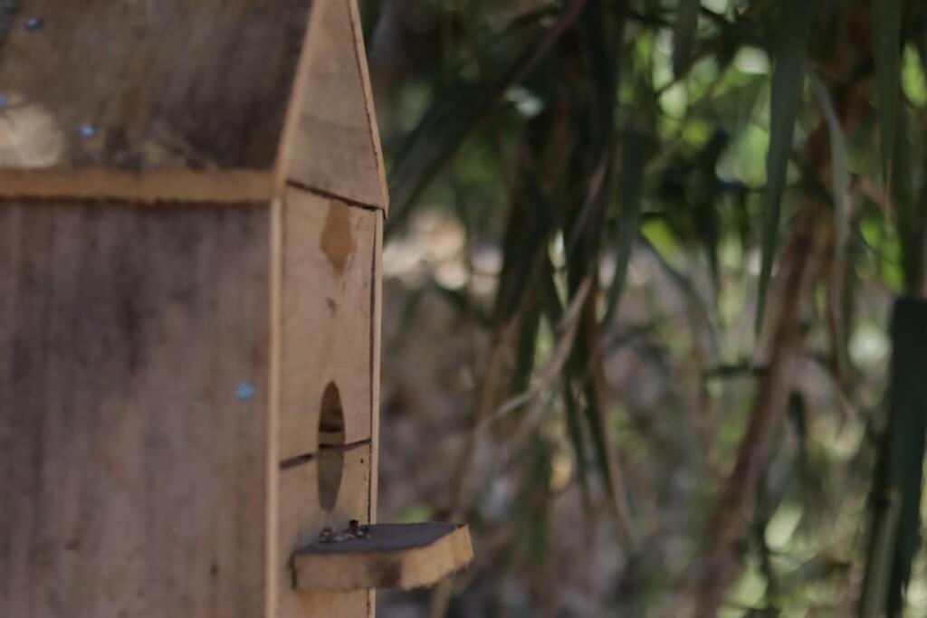 Villa Sonflo Son Servera (Mallorca)